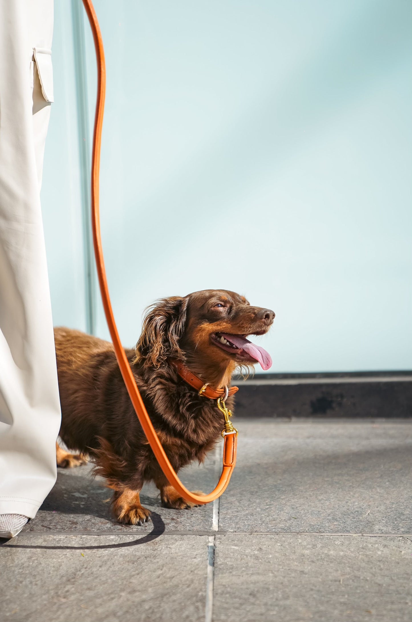 SAINT WOOF Dog Leash & Collar Set- Chestnut Small