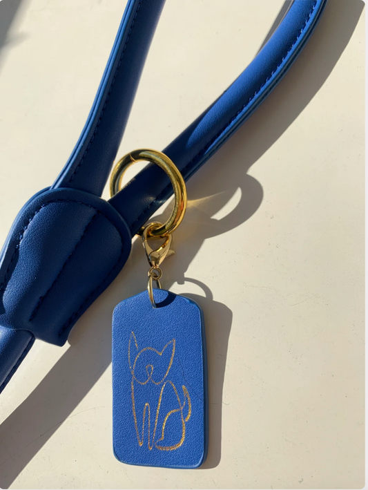 SAINT WOOF Dog Leash- Blue