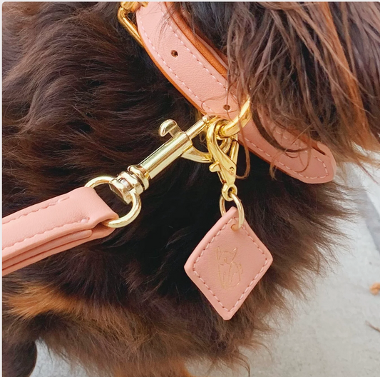 SAINT WOOF Dog Collar- Baby Pink Small