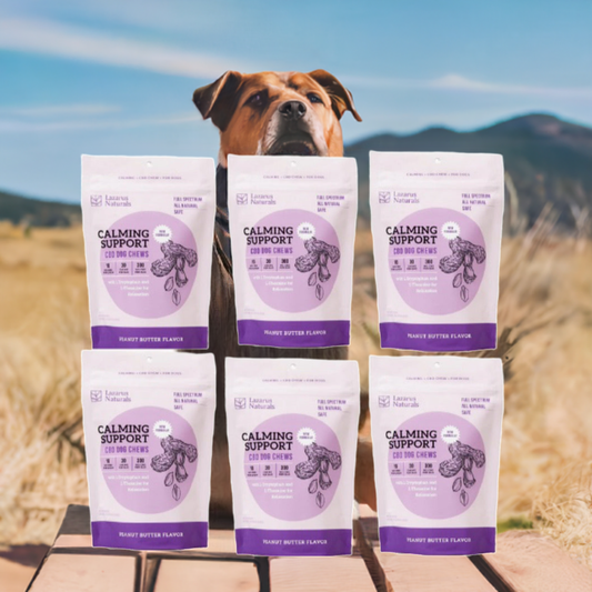 Lazarus CBD Calming Support Soft Chews (6-Pack)- Peanut Butter